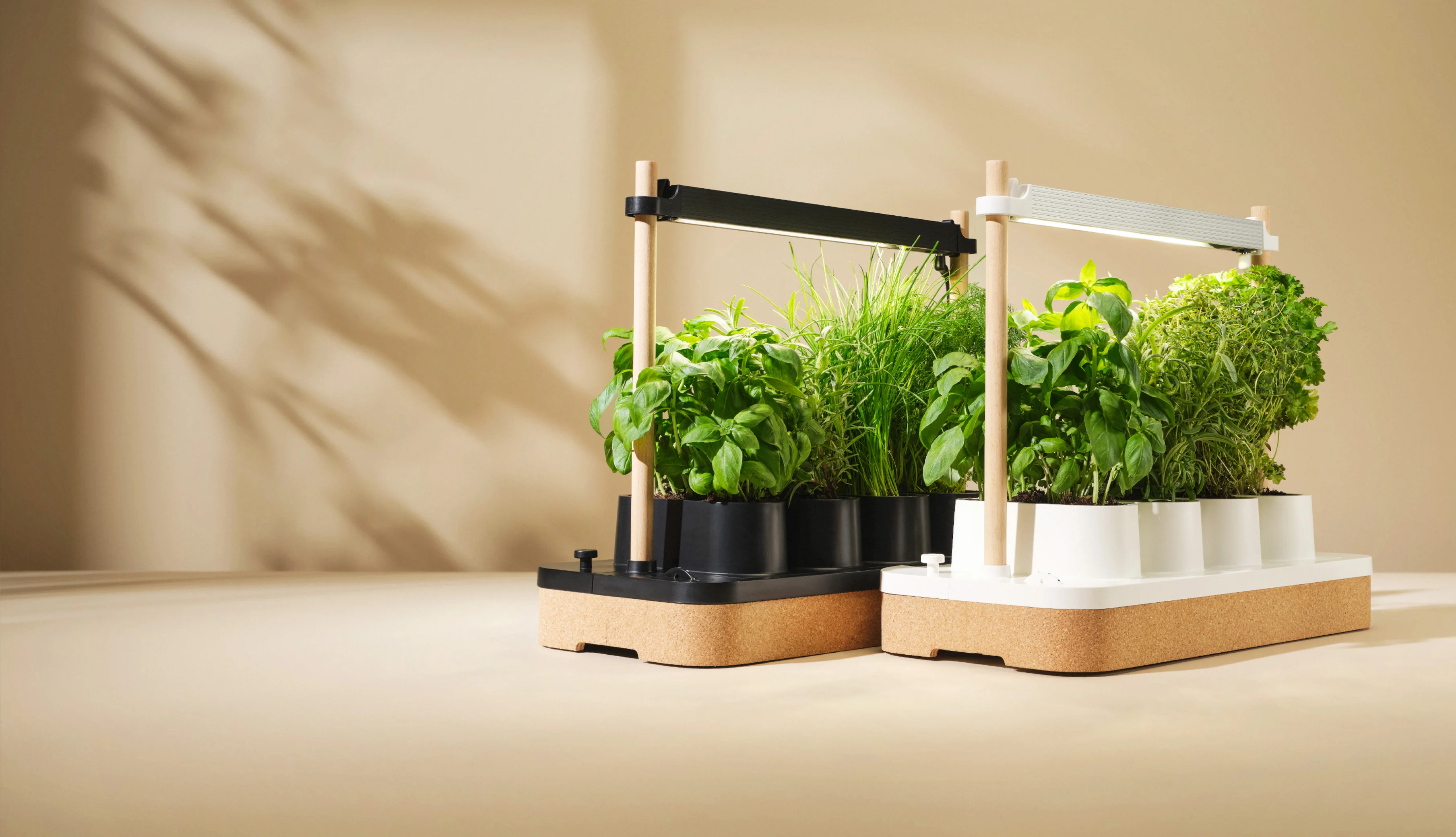 Fresh Herbs, Grown by Intelligence