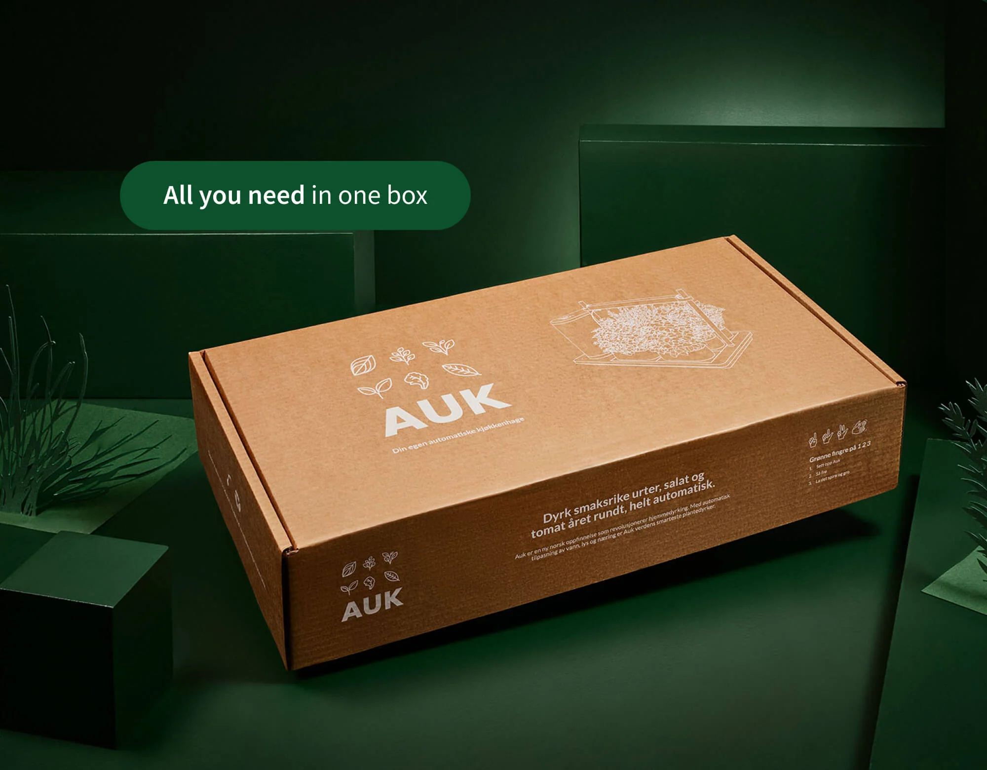 Auk 1 - Image 11