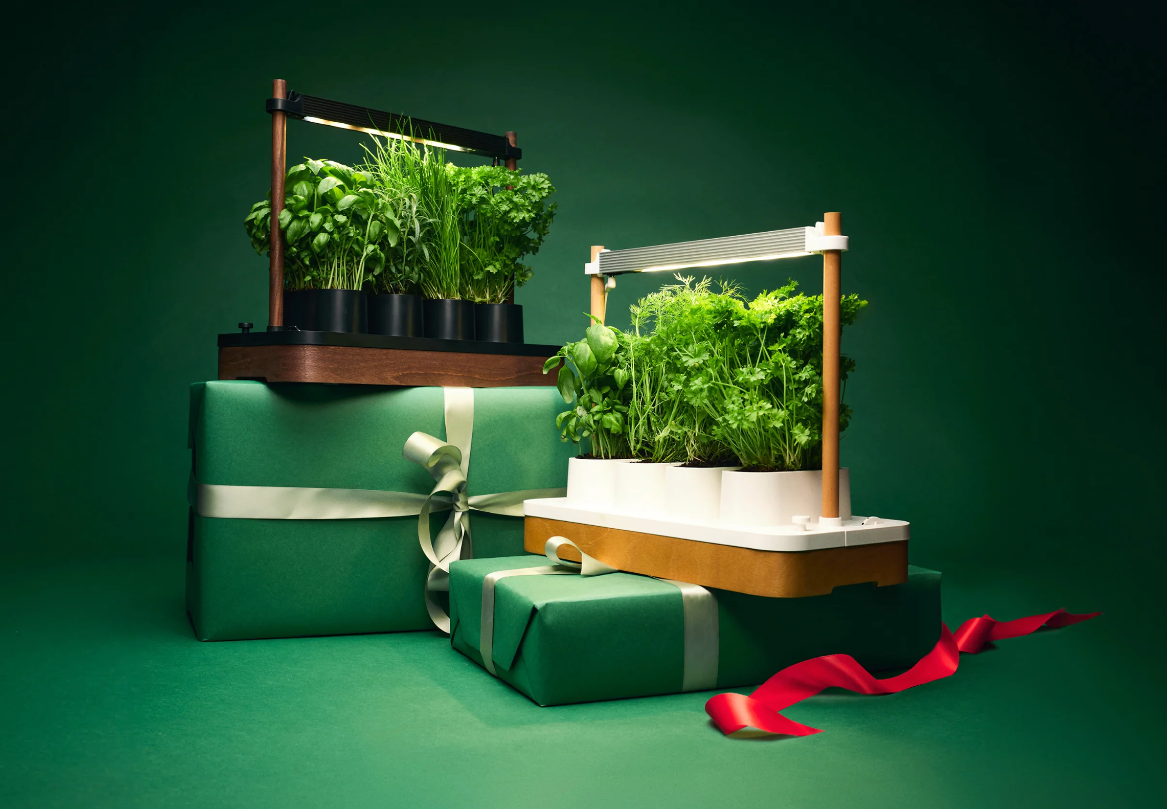 Auk Mini Bundle - Image 23