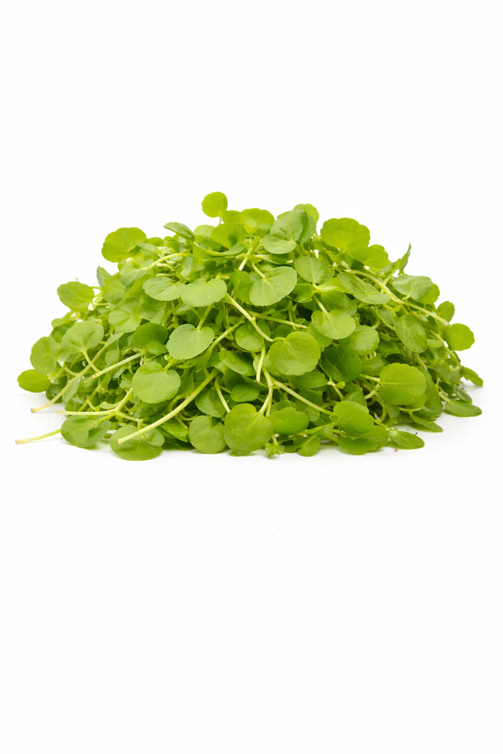 Garden cress