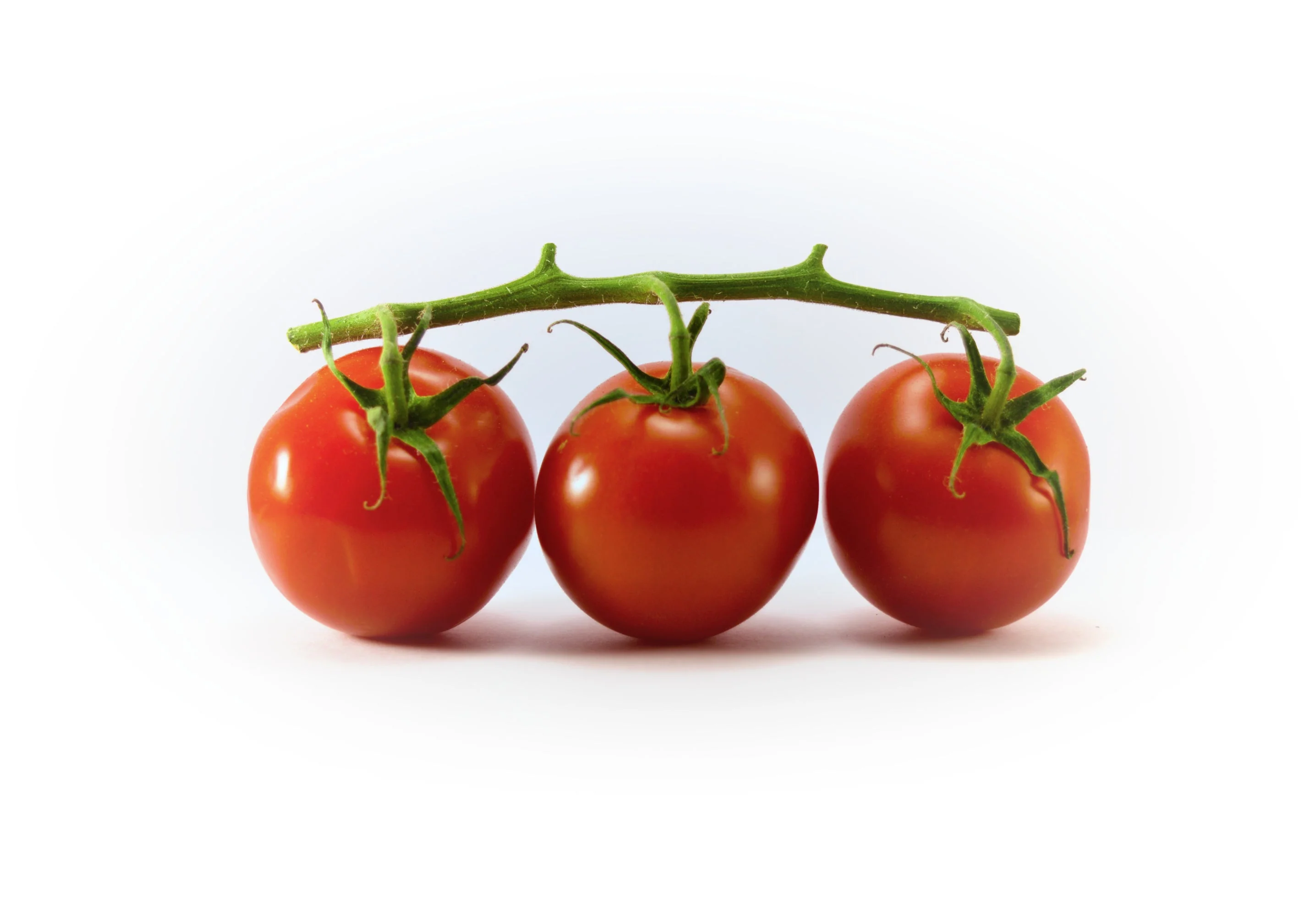 Tomato Cocktail - Image 5