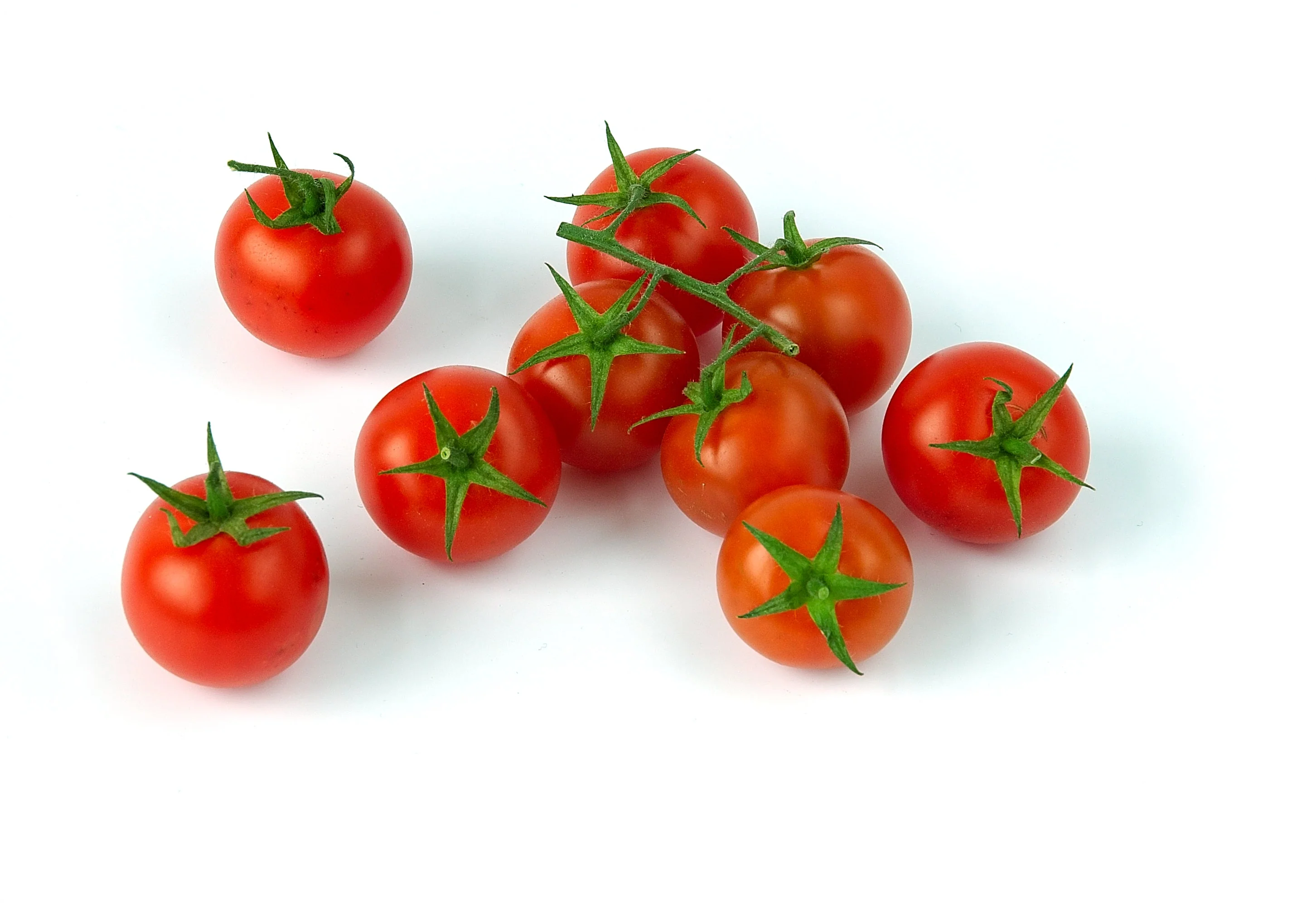 Tomato Veranda - Image 3