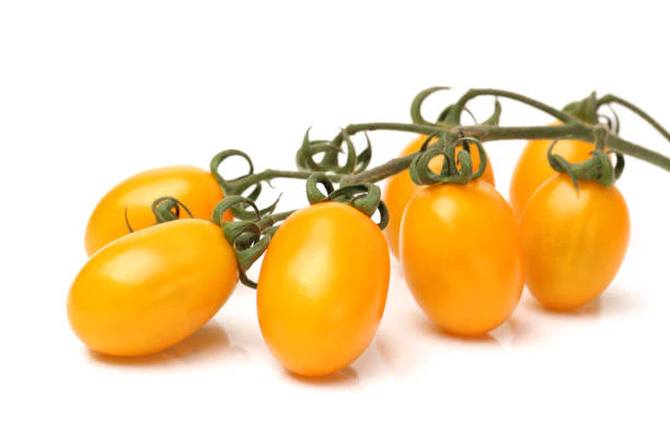 Tomato Balconi Yellow - Image 2